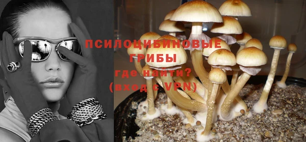 а пвп мука Няндома