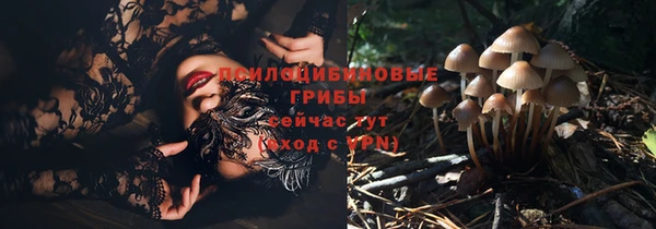 а пвп мука Няндома