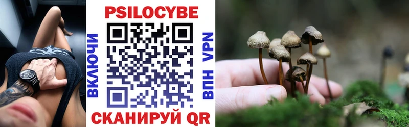 Псилоцибиновые грибы Psilocybe  Сертолово 