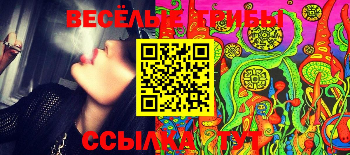 Сертолово  Галлюциногенные грибы Magic Shrooms  Галлюциногенные грибы Psilocybe  Вход с VPN 