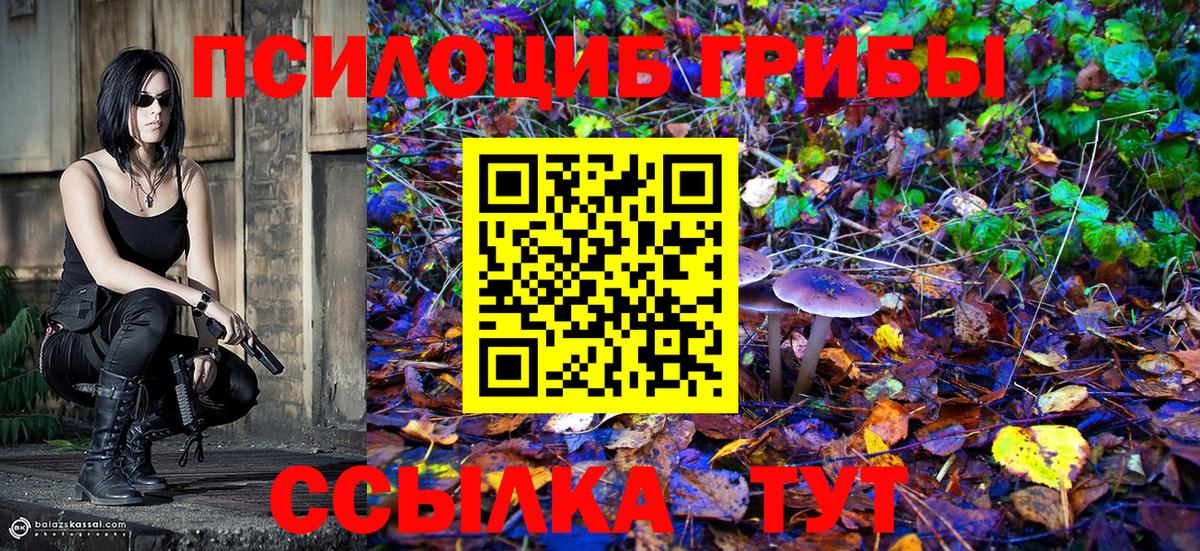 Псилоцибиновые грибы GOLDEN TEACHER Сертолово